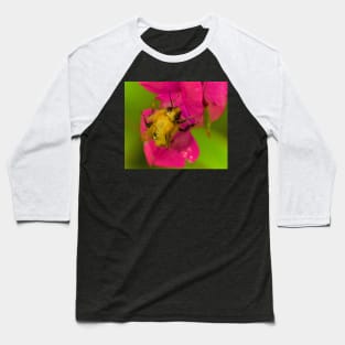 BEE PASSION Baseball T-Shirt